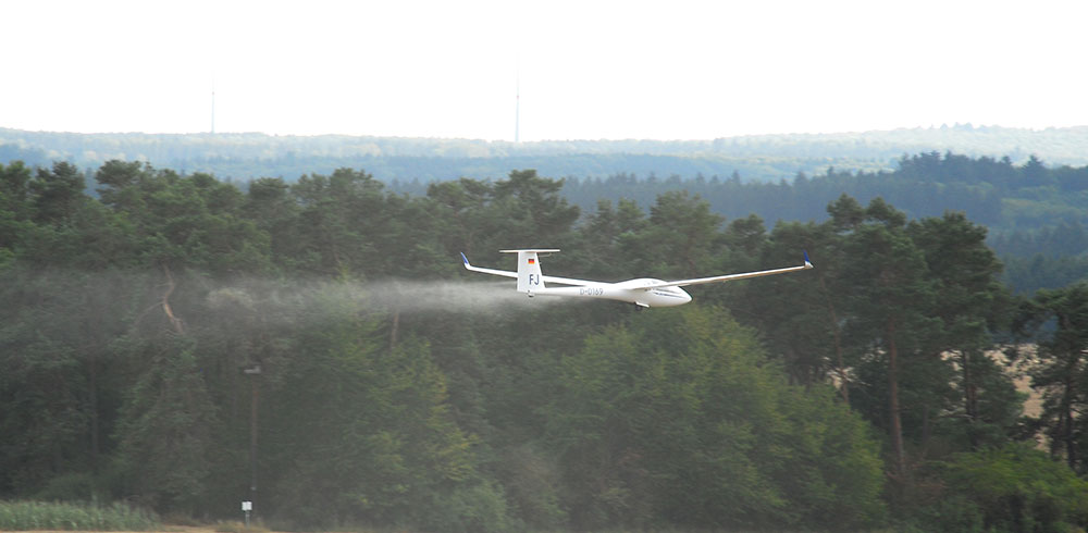DJI 0051