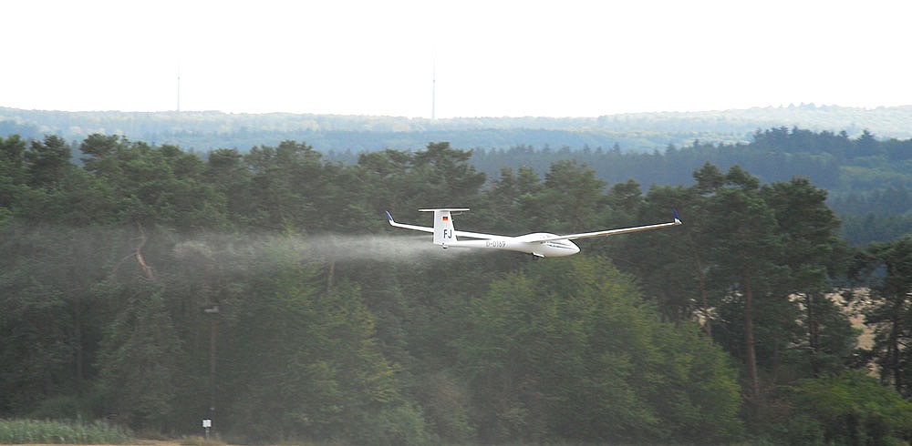 DJI 0051